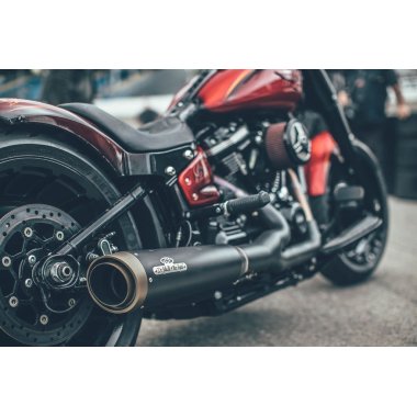 E-mærket, godkendte udstødninger