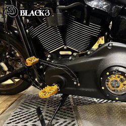 Black3 Gear Arm 2018+ Softail M. Mid Controls