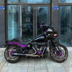 Black3 CNC Fenderstruts 2018+ Softail Lowrider
