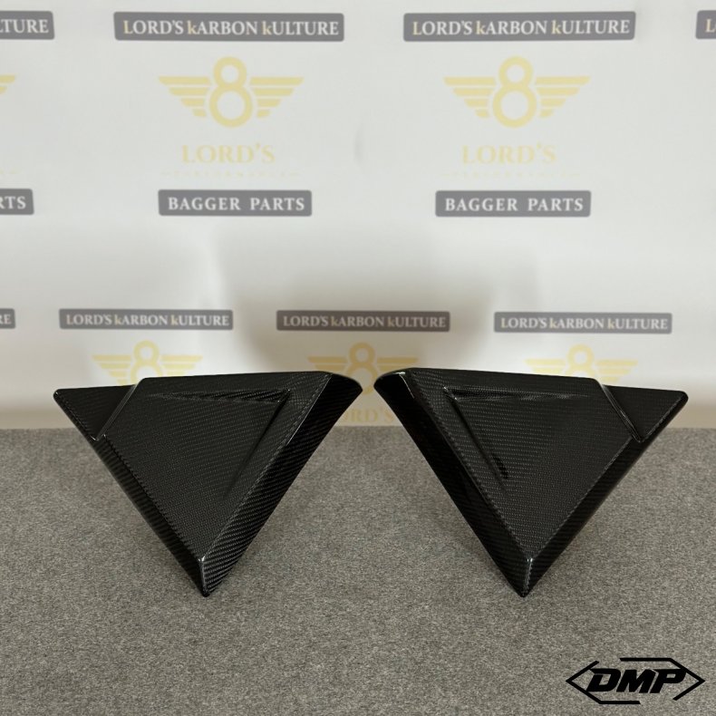 LORD's Performance Carbon side cover "FXR style", Touring