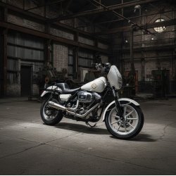 Malparidos 2in1 RACE ONLY FXR 84-