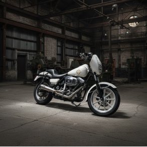 Malparidos 2in1 RACE ONLY FXR 84-