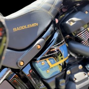  Bamco Motorsports Softail 18+ Fenderstrut Kit