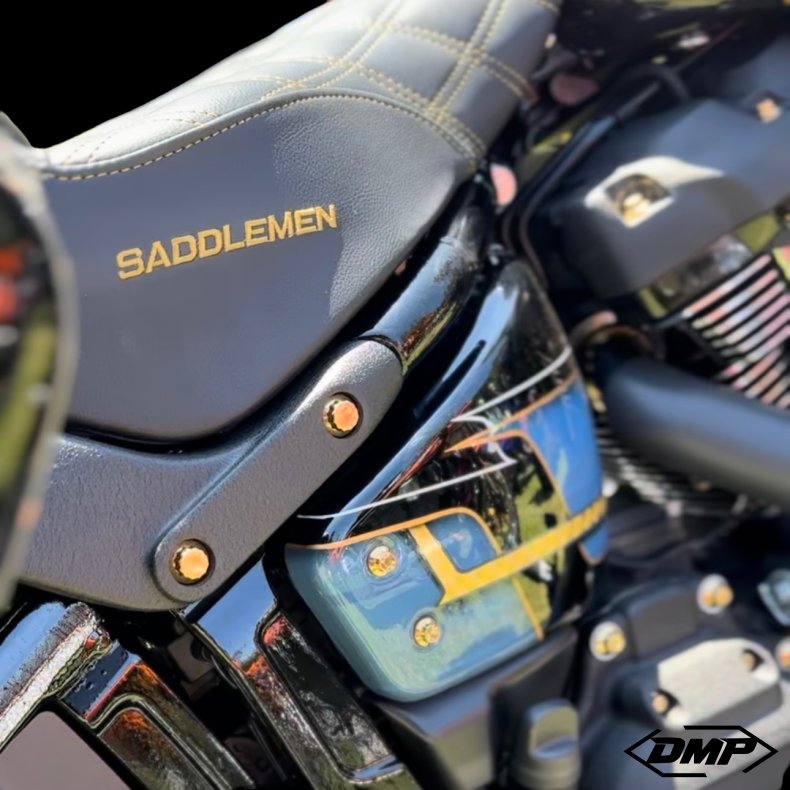  Bamco Motorsports Softail 18+ Fenderstrut Kit