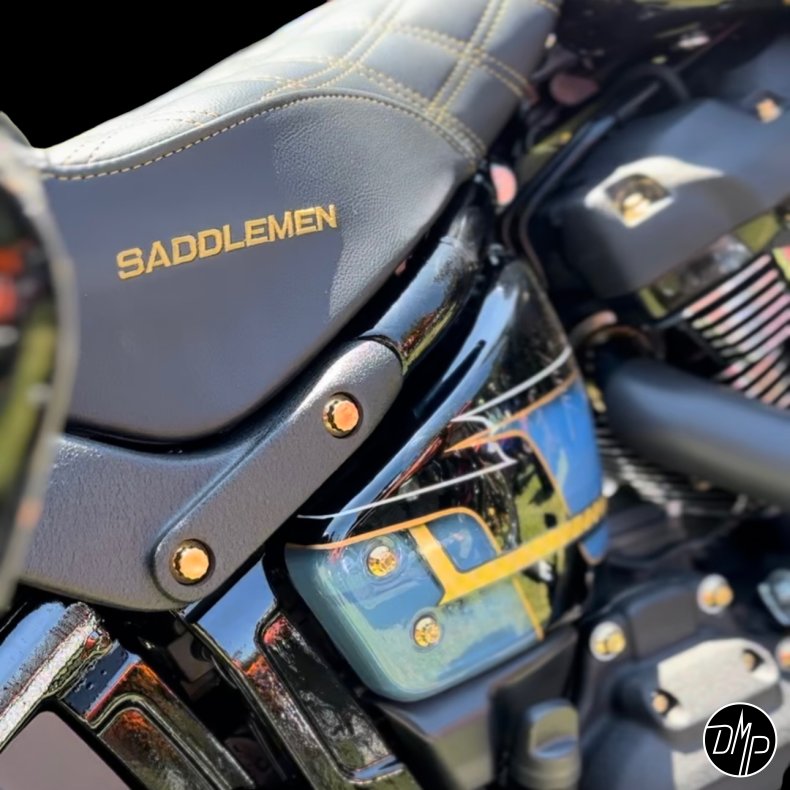  Bamco Motorsports Softail 18+ Fenderstrut Kit