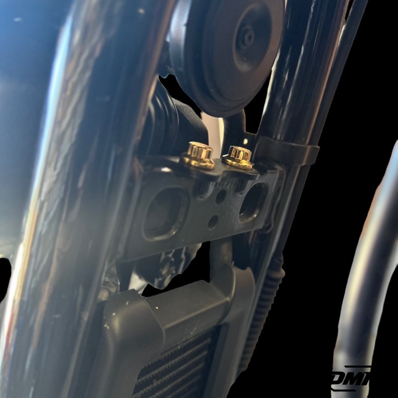 Bamco Motorsports 2018+ Softail Top Motor Mount Kit