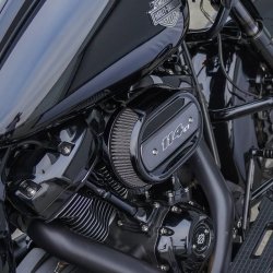 Arlen Ness, Upgraded Oval Stock Filter, 114" style