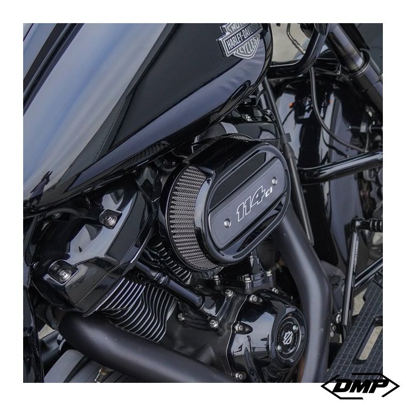 Arlen Ness, Upgraded Oval Stock Filter, 114" style