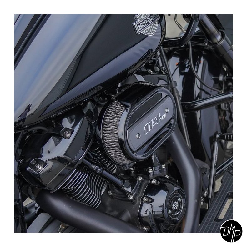 Arlen Ness, Upgraded Oval Stock Filter, 114" style