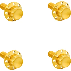 ARLEN NESS BOLT KIT TITANIUM - FLTR 15-23 - Vindsk�rm - GULD