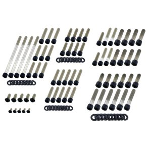 Screws 4 Bikes, motor bolt kit, Black, 04-20 XL Sportster
