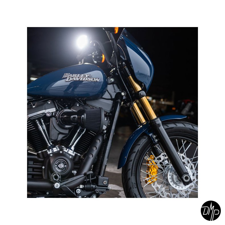 Arlen Ness, 49mm inne fork legs GOLD +2" (M8 Softail models)