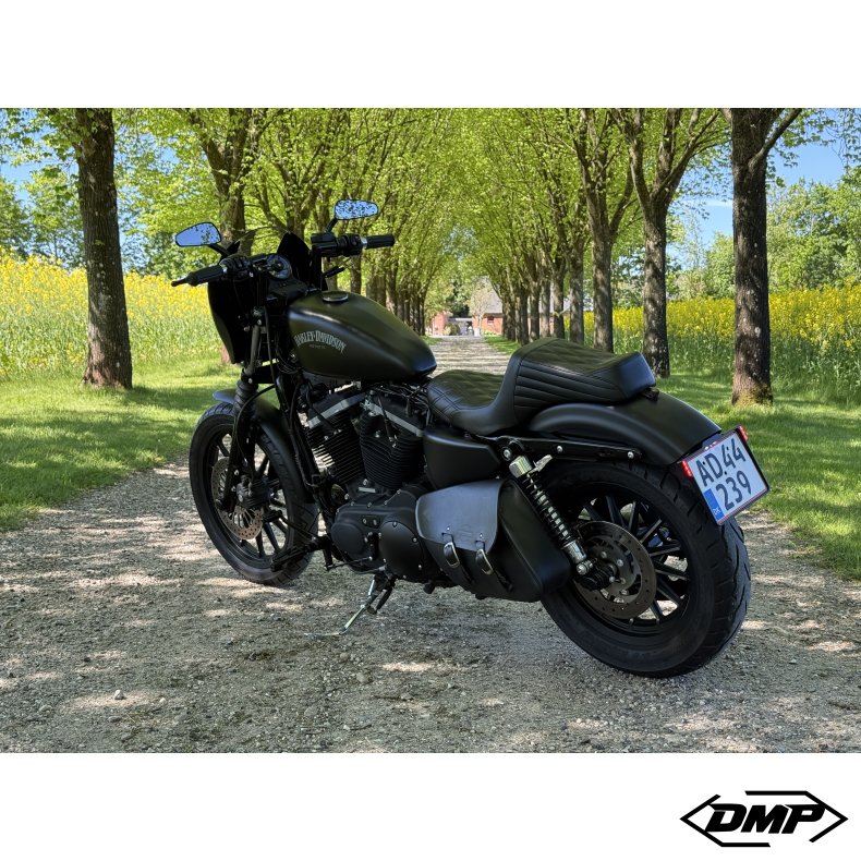 Harley-Davidson XL883N Iron