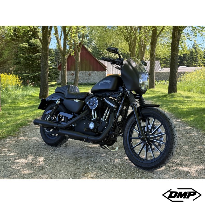 Harley-Davidson XL883N Iron