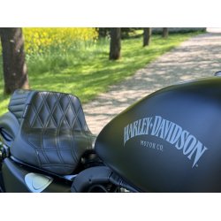 Harley-Davidson XL883N Iron