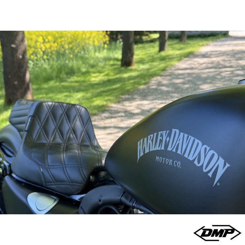 Harley-Davidson XL883N Iron