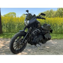 Harley-Davidson XL883N Iron