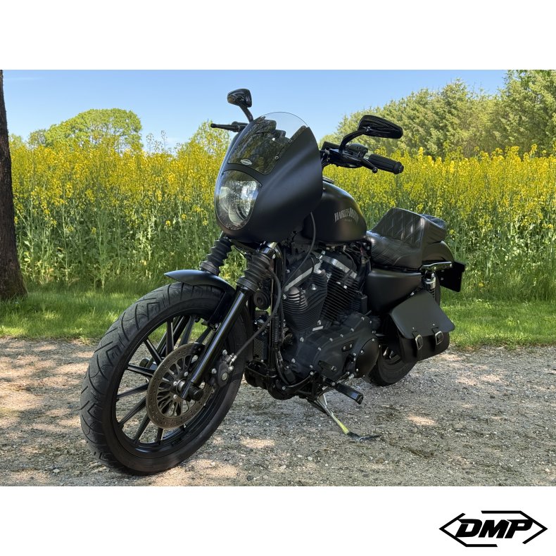 Harley-Davidson XL883N Iron