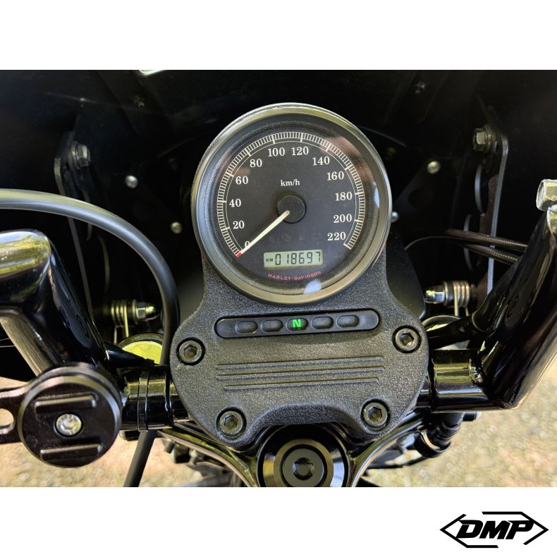 Harley-Davidson XL883N Iron