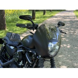 Harley-Davidson XL883N Iron