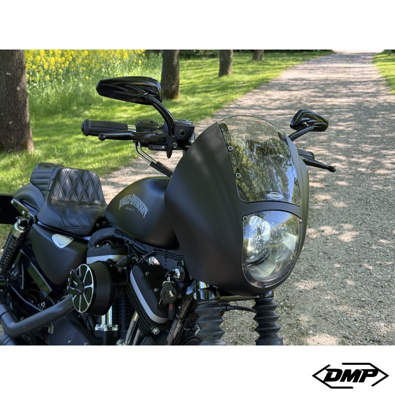 Harley-Davidson XL883N Iron