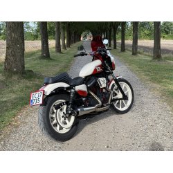 Harley-Davidson XL 883 N Sportster