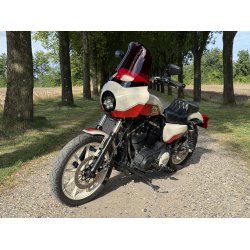 Harley-Davidson XL 883 N Sportster