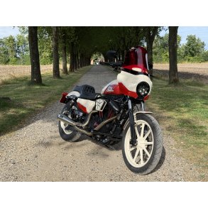 Harley-Davidson XL 883 N Sportster
