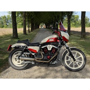 Malparidos 2in1 RACE ONLY, XL Sportster 04-20