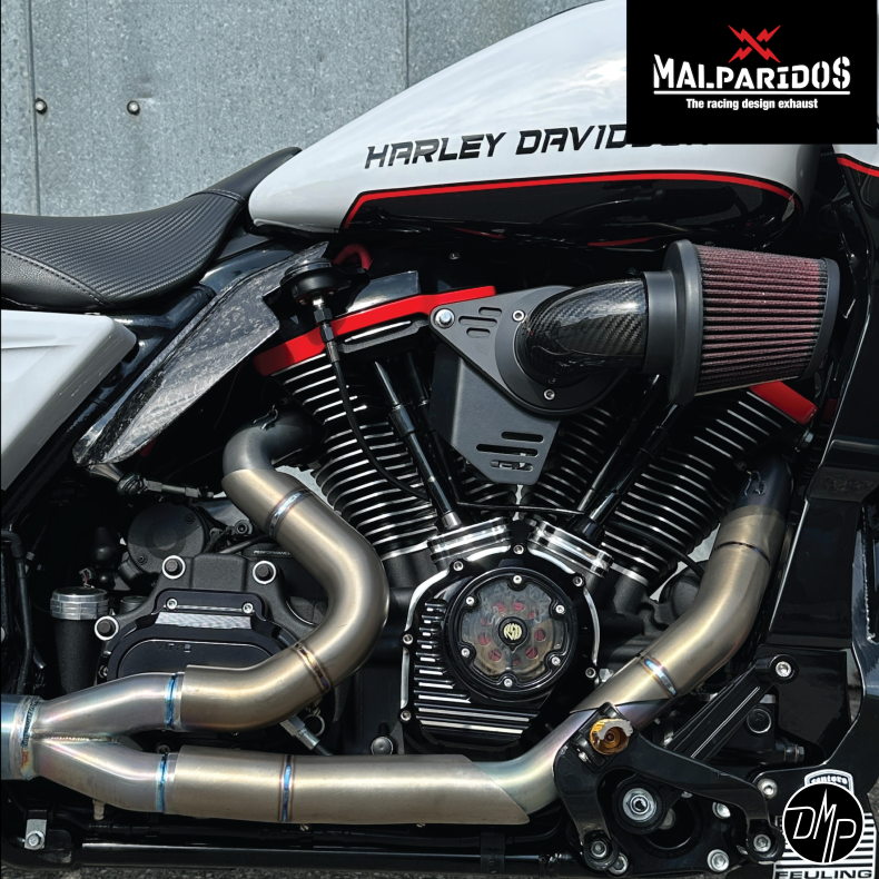 Malparidos Heat shields Dyna 06-17