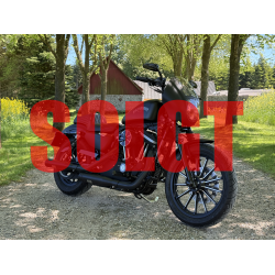 Harley-Davidson XL883N Iron