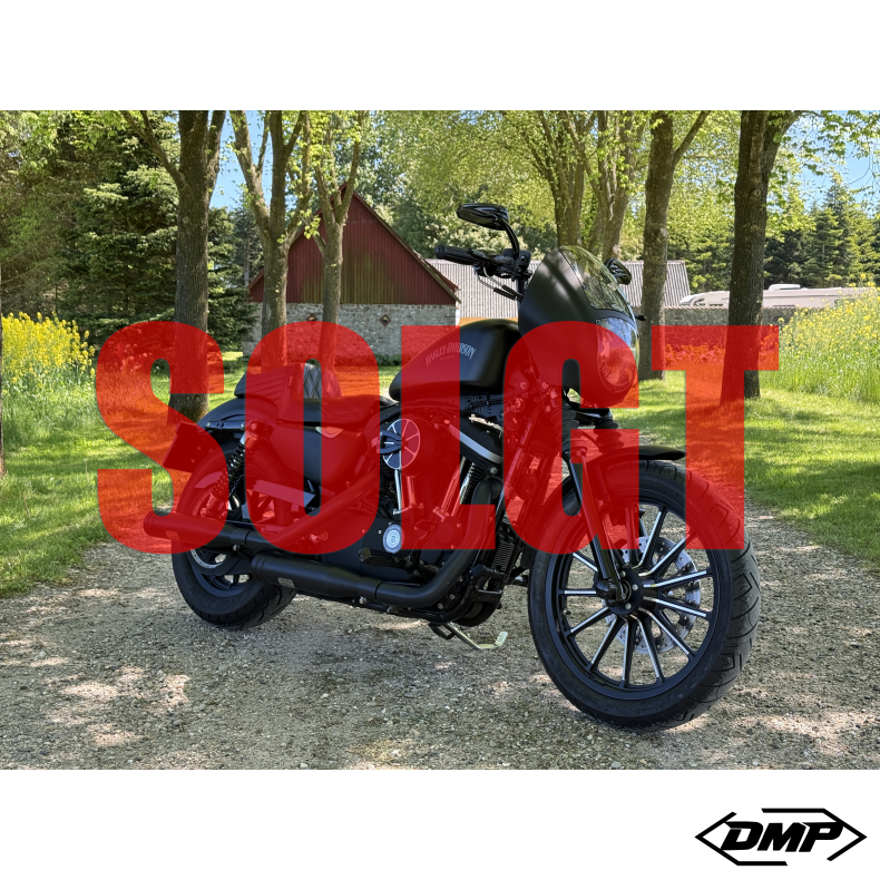 Harley-Davidson XL883N Iron