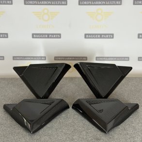 LORD's Performance Carbon side cover 