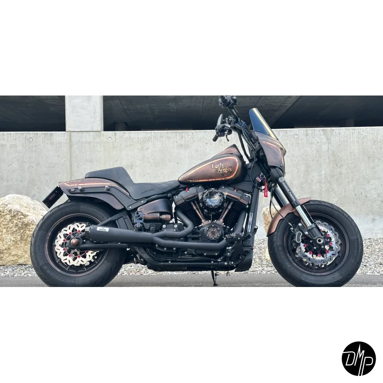 Malparidos 2in1 Euro 4 &amp; 5 Approved, Softail M8