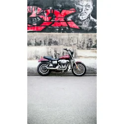 Malparidos 2in1 Euro 2 &amp; 3 Approved, Dyna 1999-2005