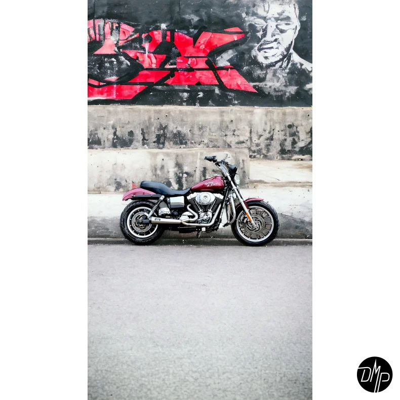 Malparidos 2in1 Euro 2 &amp; 3 Approved, Dyna 1999-2005