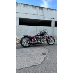 Malparidos 2in1 Euro 0/1/2 Godkendt, EVO Softail 86-99