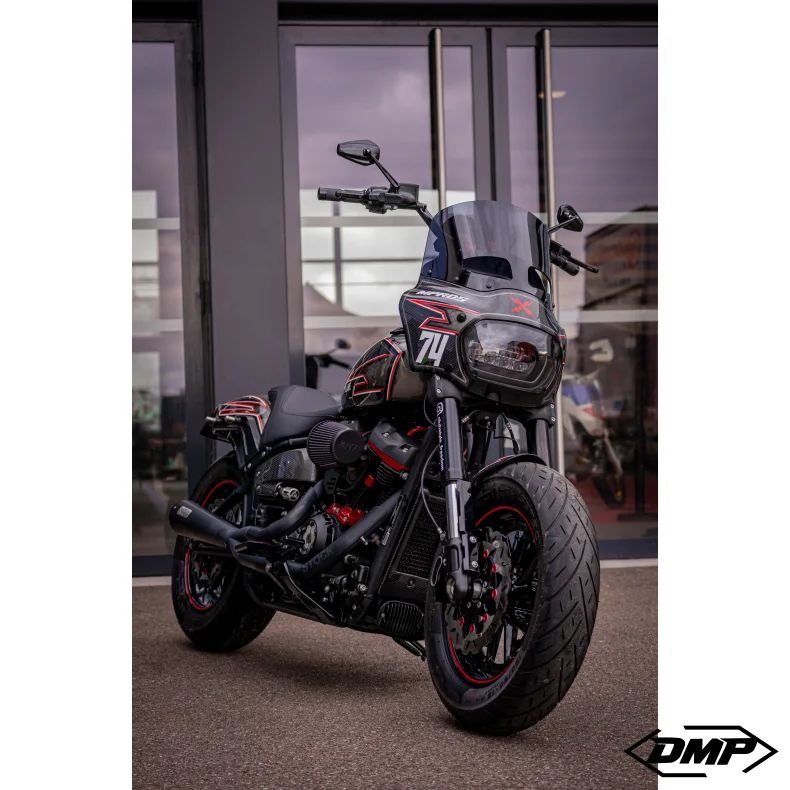 Malparidos 2in1 Euro 4 &amp; 5 Approved, Softail M8