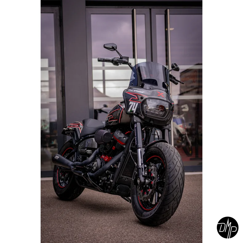 Malparidos 2in1 Euro 4 &amp; 5 Approved, Softail M8