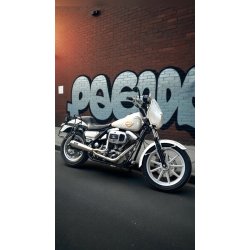 Malparidos 2in1 RACE ONLY FXR 84-
