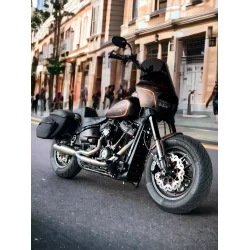 Malparidos 2in1 Euro 4 &amp; 5 Approved, Softail M8