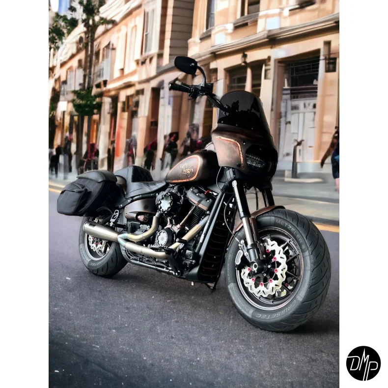 Malparidos 2in1 Euro 4 &amp; 5 Approved, Softail M8