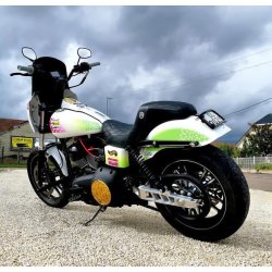 QPC Performance CNC Swingarm Dyna 08-17