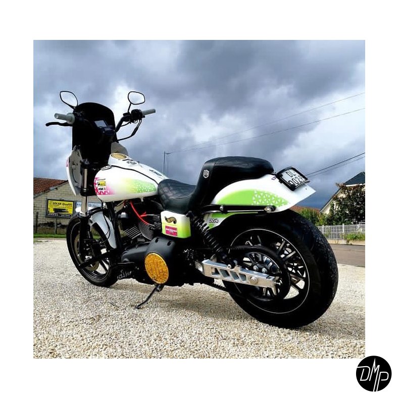 QPC Performance CNC Swingarm Dyna 08-17