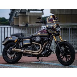 QPC Performance CNC Swingarm Dyna 08-17