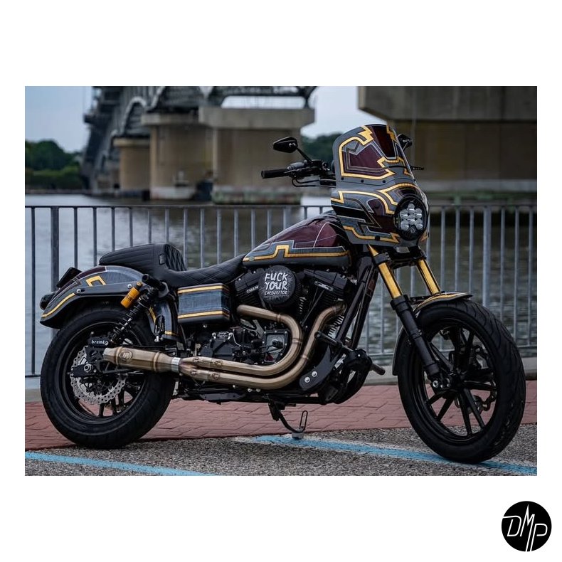 QPC Performance CNC Swingarm Dyna 08-17