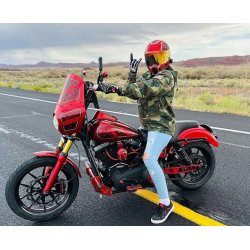 QPC Performance CNC Swingarm Dyna 08-17