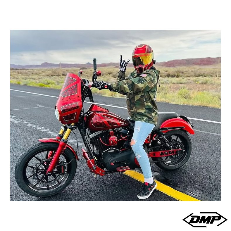 QPC Performance CNC Swingarm Dyna 08-17