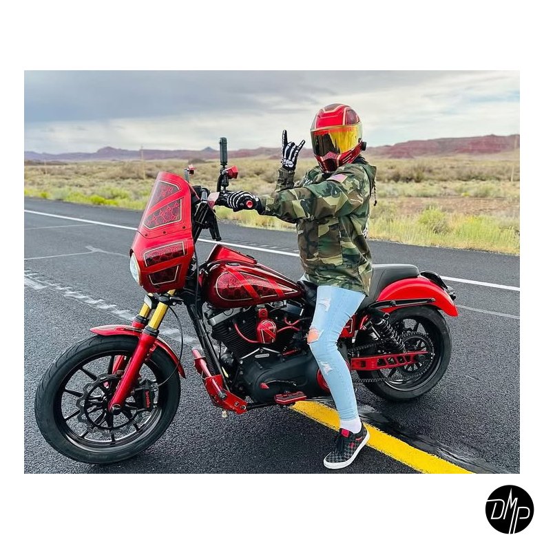 QPC Performance CNC Swingarm Dyna 08-17