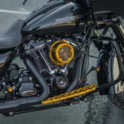 Arlen Ness Method Aircleaner, GOLD